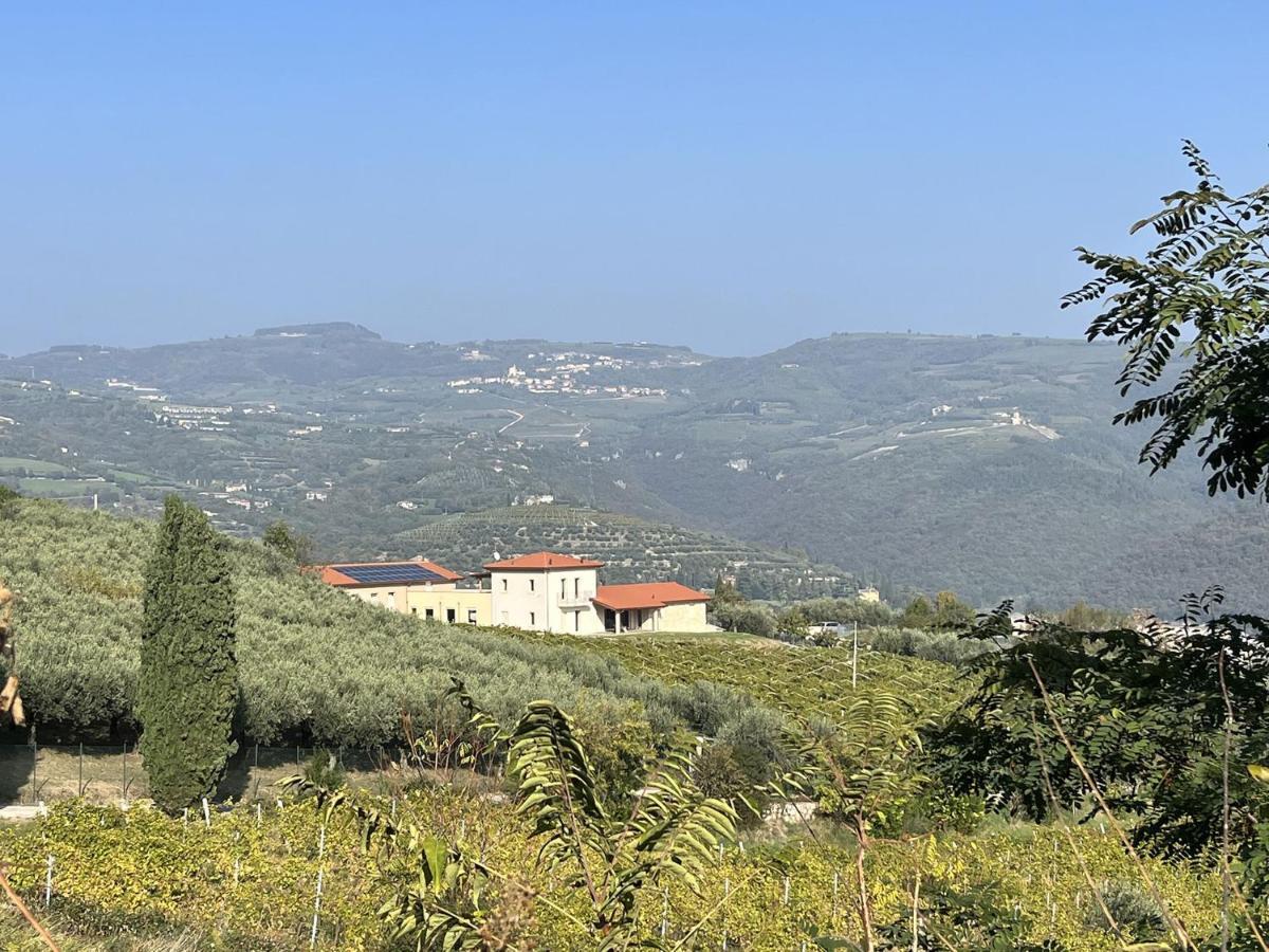 Suite La Torretta - Ca' Del Volo Греццана Экстерьер фото