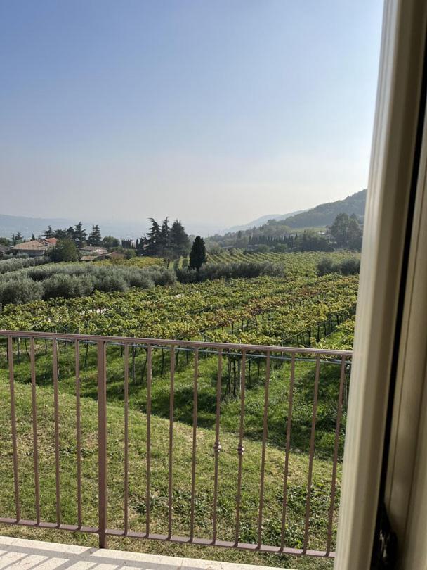 Suite La Torretta - Ca' Del Volo Греццана Экстерьер фото